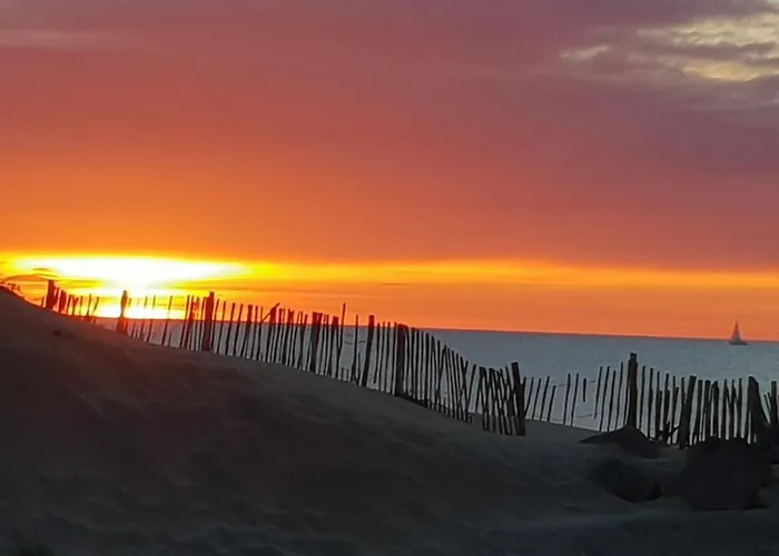 Les Pieds Dans Le Sable * Agde
